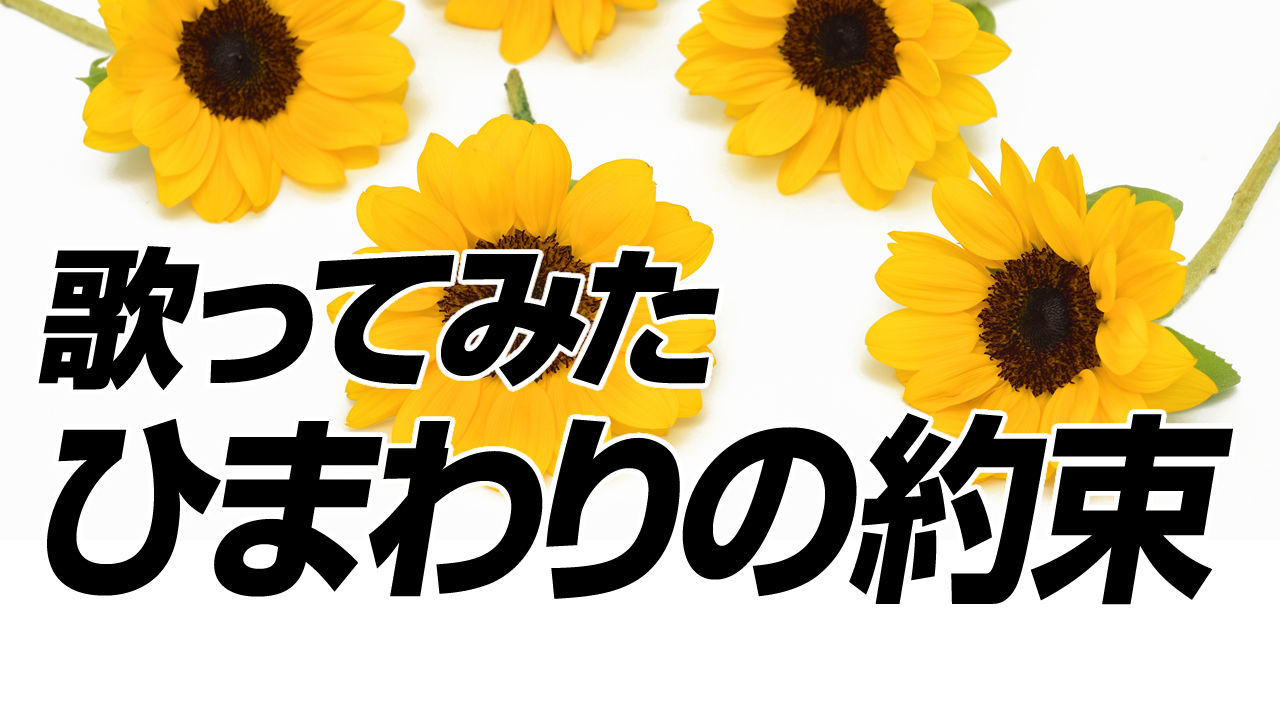 歌ってみた　ひまわりの約束（ボイストレーニングの部活）